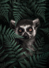 Lemur In The Forest Poster och Canvastavla