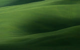 Green in all its nuances Poster och Canvastavla