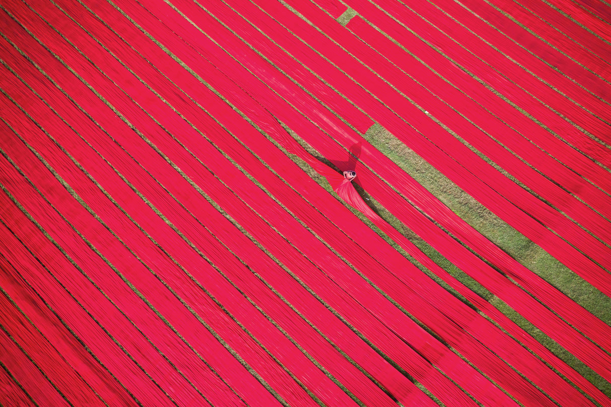 Drying Red Poster och Canvastavla