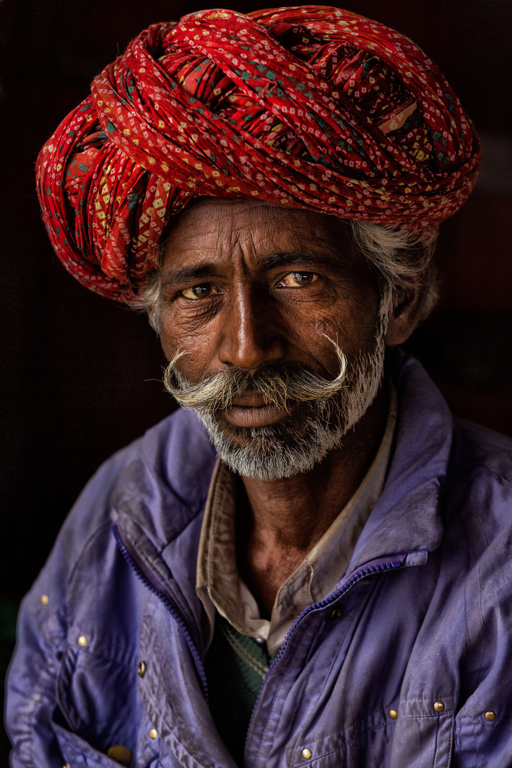 indian man from jaipur Poster och Canvastavla