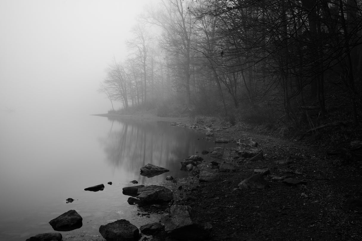 Foggy Lake Poster och Canvastavla