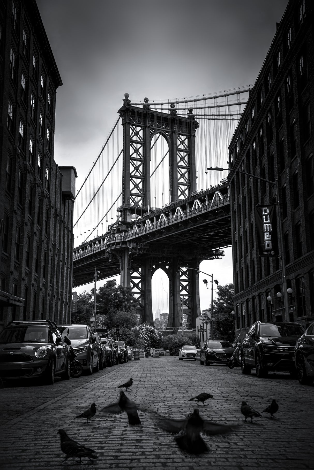 Dumbo - NYC Poster och Canvastavla