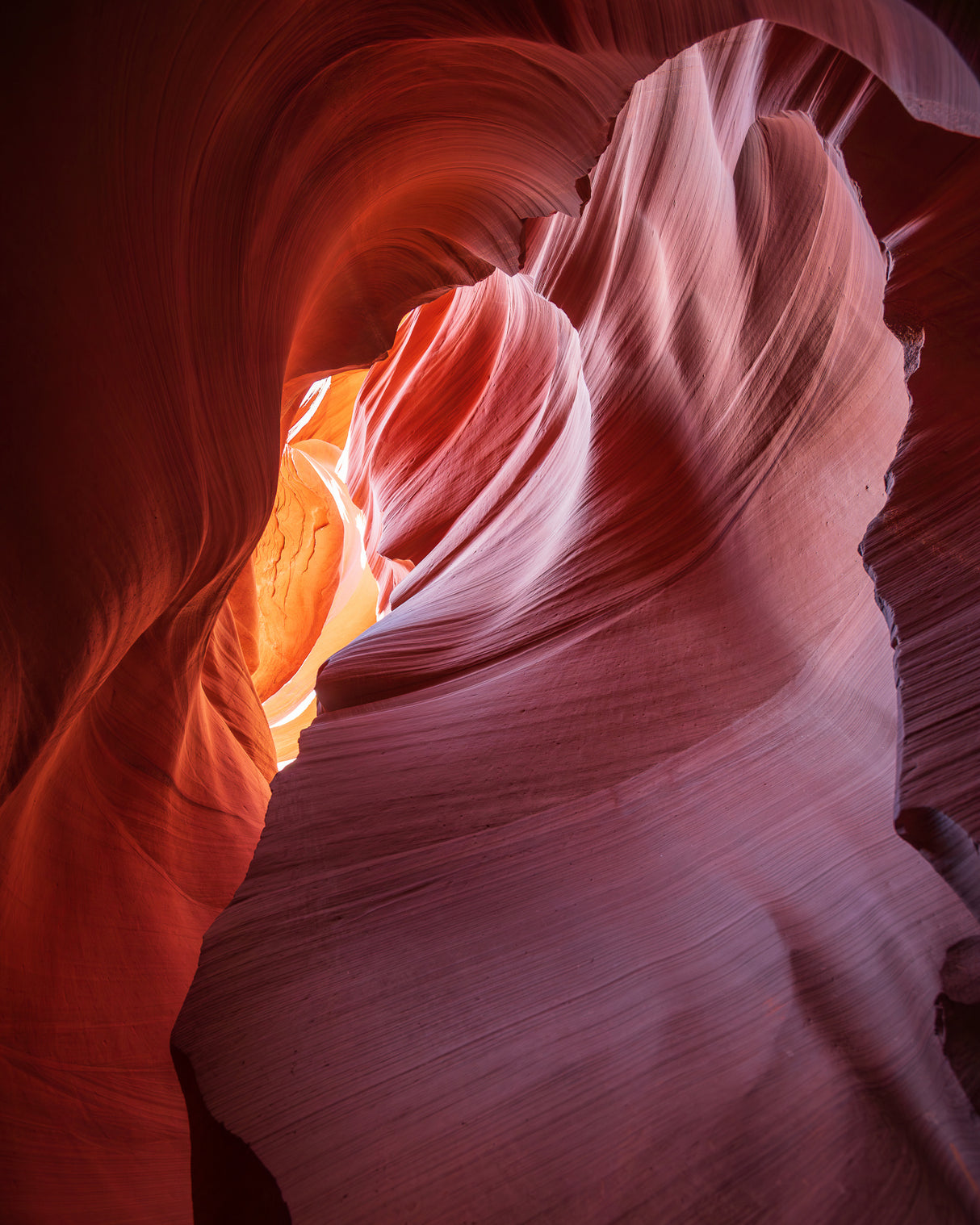 Beauty of the Navajo Canyon Poster och Canvastavla
