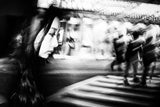 Shibuya Street - TOKYO 2016 Poster och Canvastavla