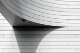 Shadow Poster och Canvastavla