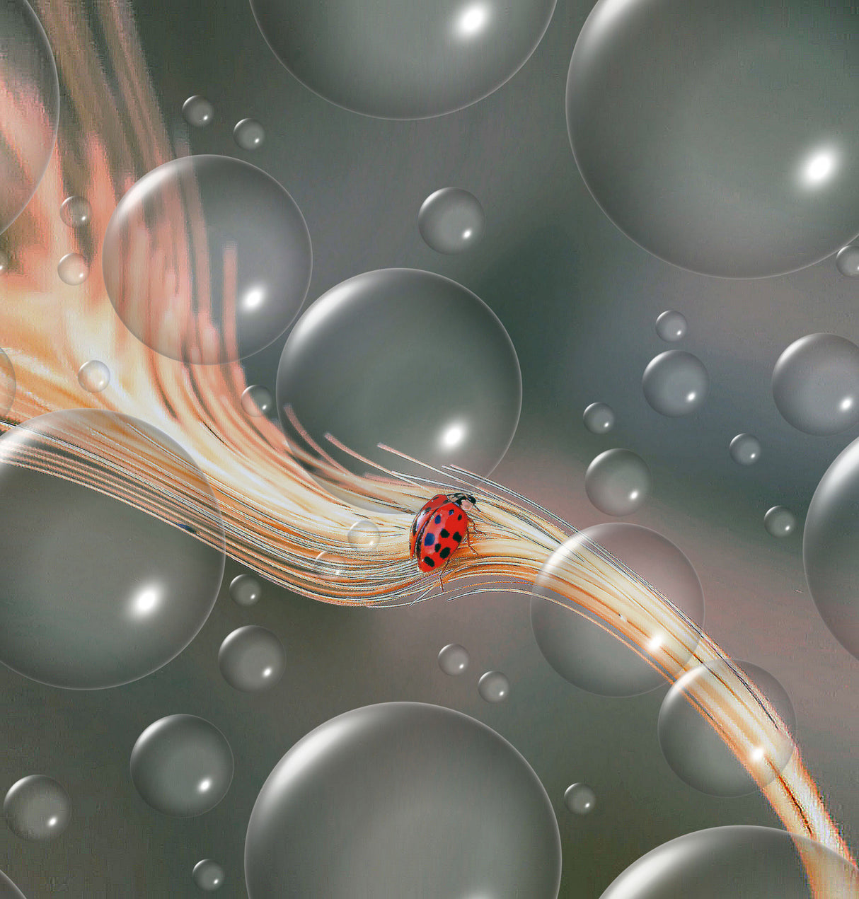 At the speed of light... Poster och Canvastavla