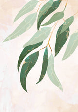 Australian Eucalyptus leaves Poster och Canvastavla