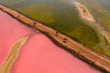 Pink Lake Poster och Canvastavla