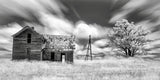 Abandoned (IR) Poster och Canvastavla
