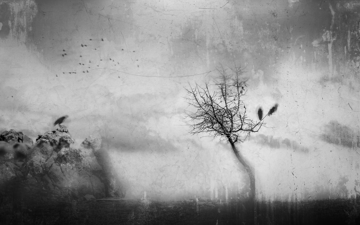 A Slowly Fading Memory Poster och Canvastavla