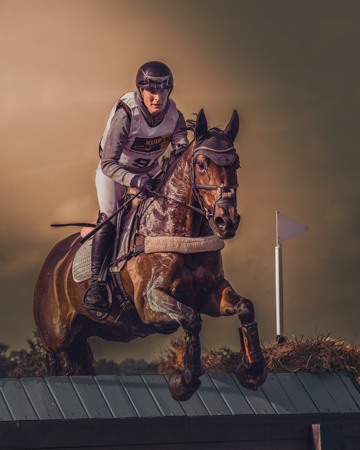 Jumping over an obstacle in a cross country eventing competition Poster och Canvastavla