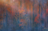 Misty Morning Poster och Canvastavla