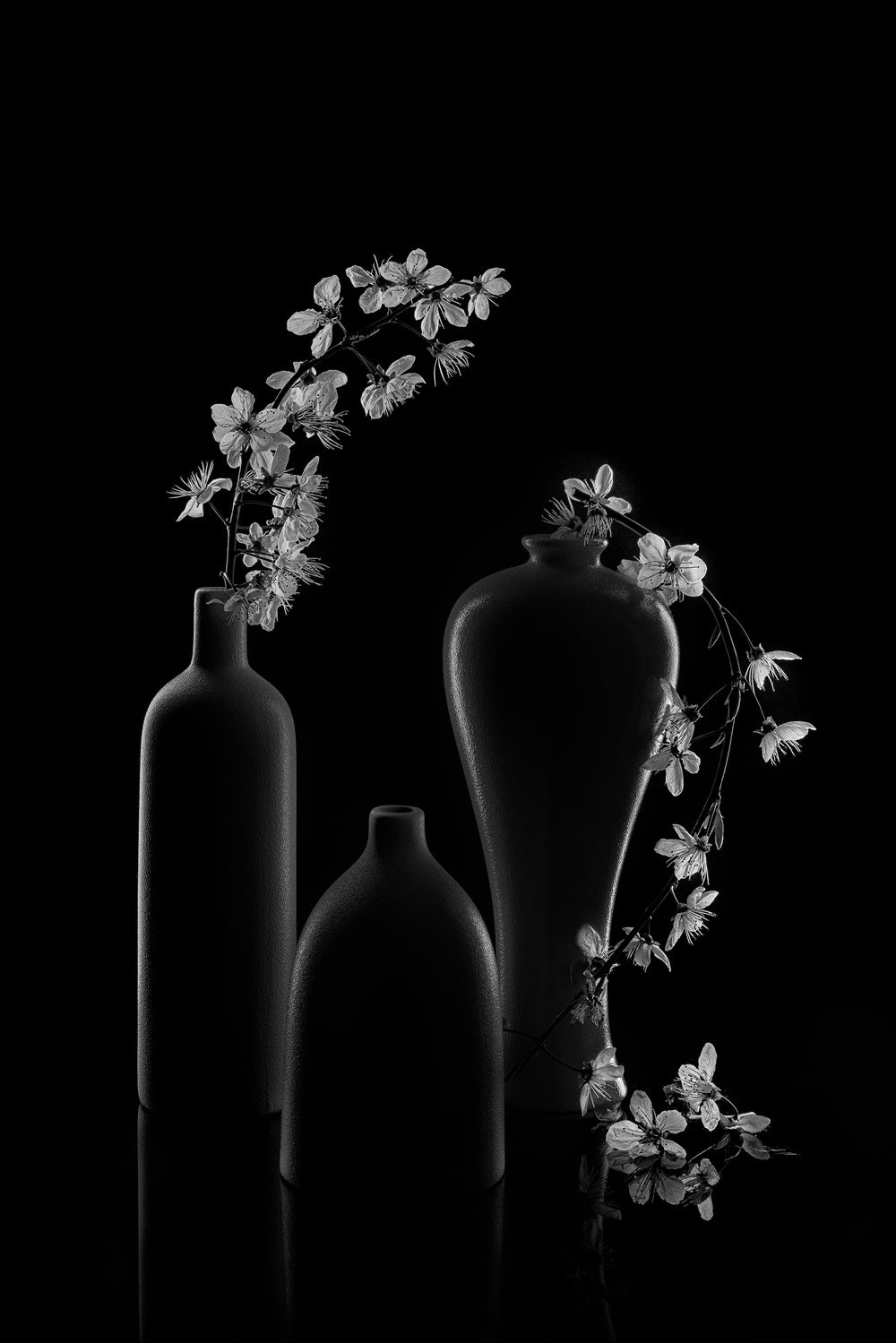 Elegant Prunus Cerasifera Poster och Canvastavla