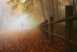 MY WAY TO AUTUMN Poster och Canvastavla