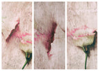 Abstract Lovers Poster och Canvastavla