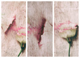 Abstract Lovers Poster och Canvastavla