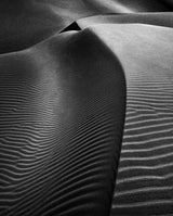 Dunes of nude Poster och Canvastavla