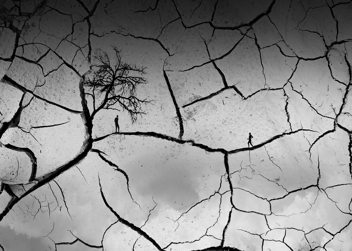 Living in a drought Poster och Canvastavla
