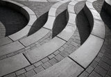 Curves Poster och Canvastavla