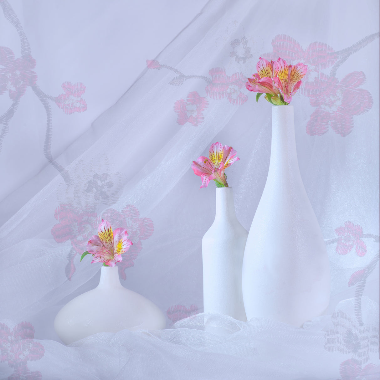 still life 29 Poster och Canvastavla