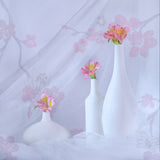 still life 29 Poster och Canvastavla