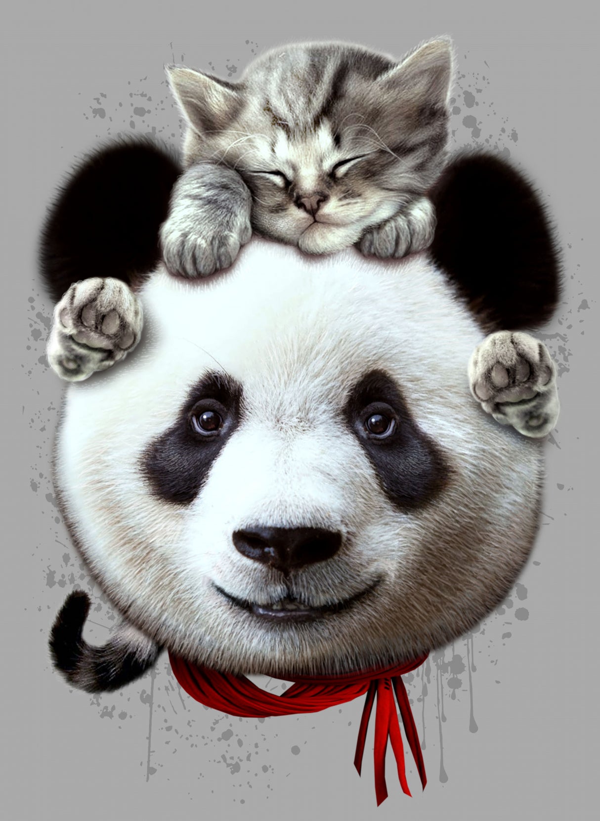 cat on panda bear Poster och Canvastavla