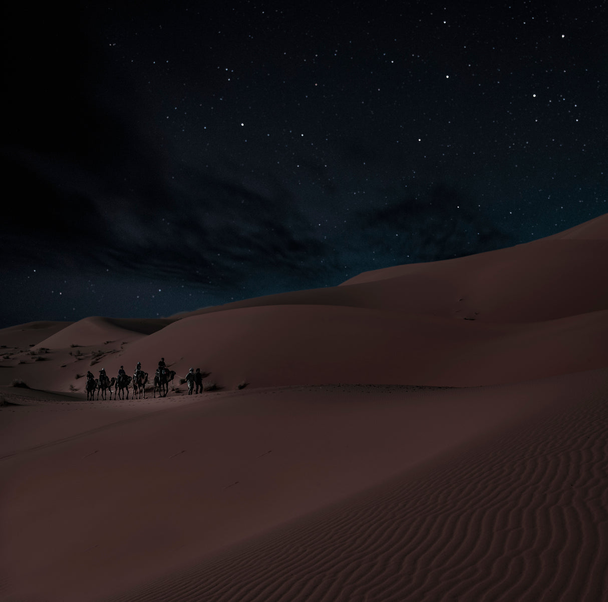 Night Under the Stars Poster och Canvastavla