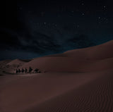 Night Under the Stars Poster och Canvastavla