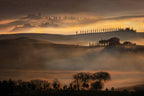 FOGS IN TUSCANY Poster och Canvastavla