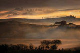 FOGS IN TUSCANY Poster och Canvastavla
