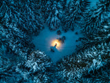 Lightening Heart of the Woods Poster och Canvastavla
