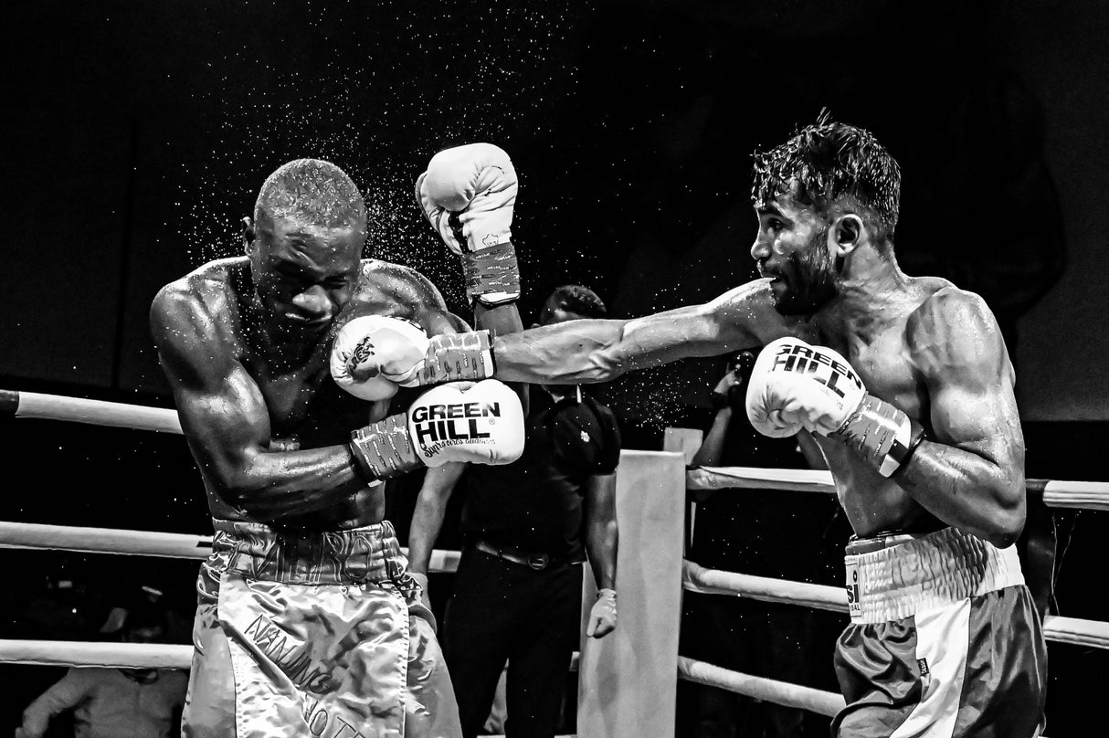 Boxing Poster och Canvastavla