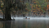 Foggy Lake Poster och Canvastavla