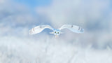 Winter, Winter, Winter,Wonderland Poster och Canvastavla