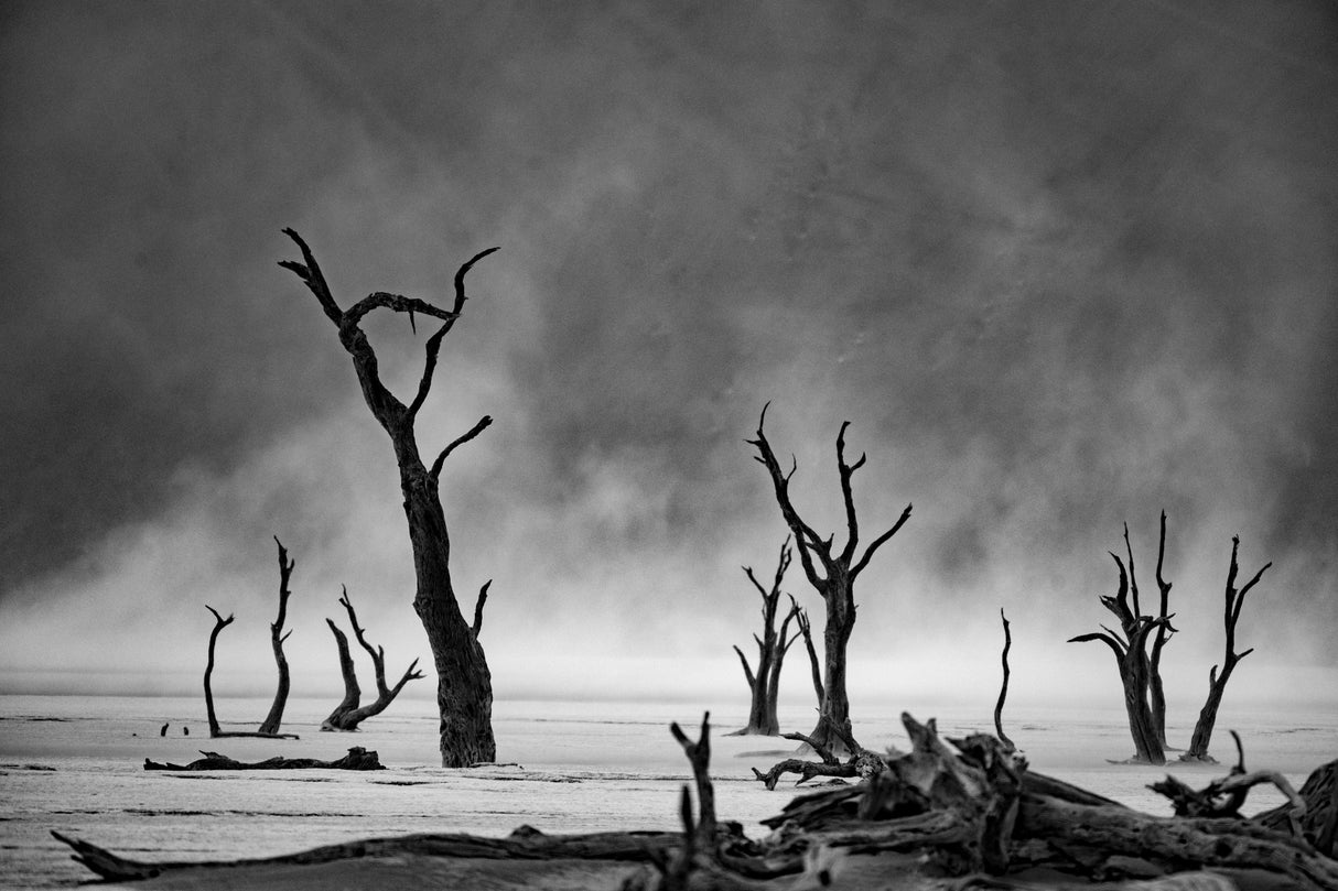 Namibia: The Spirit of Wilderness Poster och Canvastavla