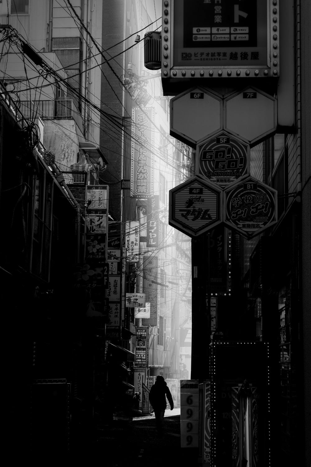 Walk in light and darkness Poster och Canvastavla