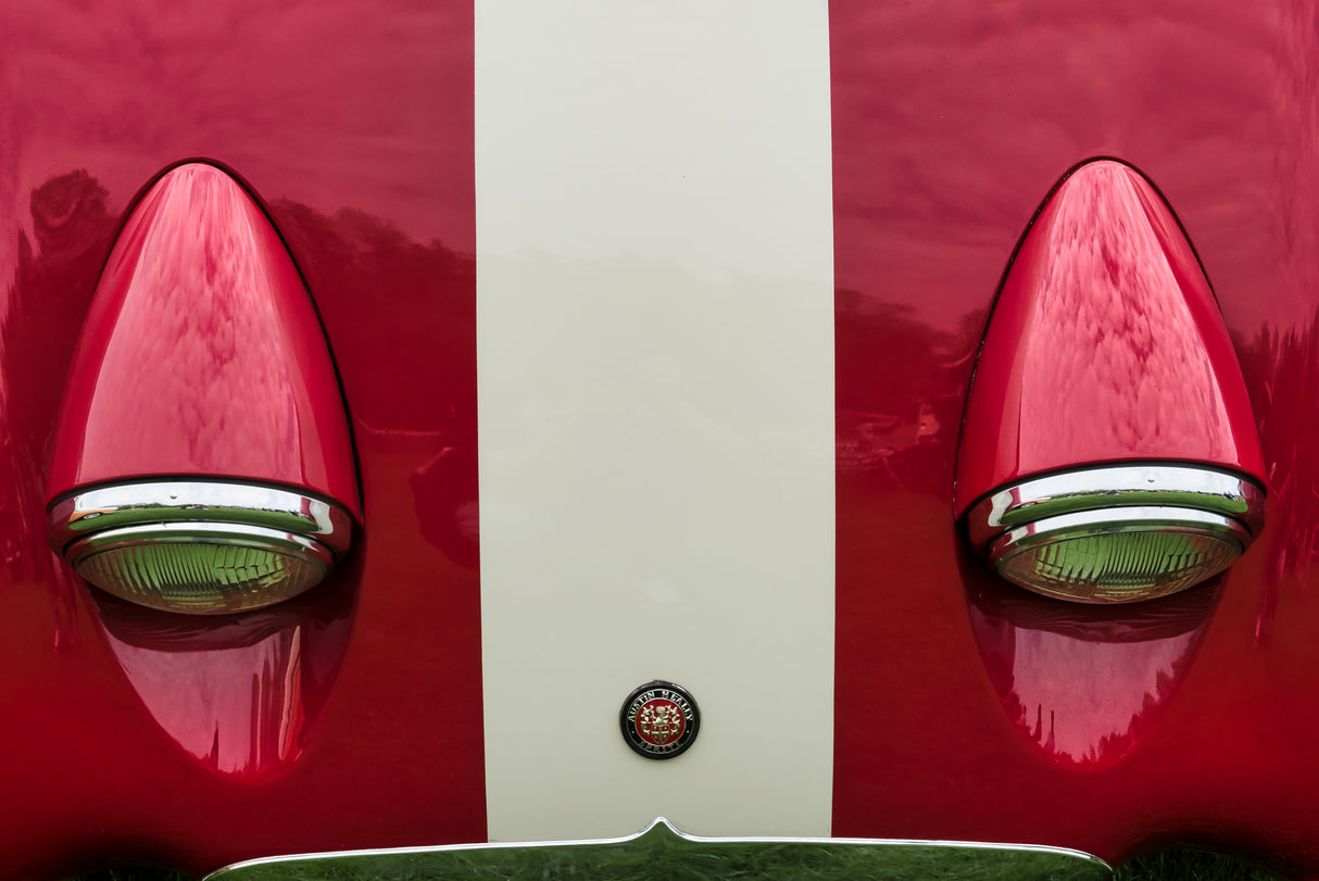 Austin Healey Poster och Canvastavla