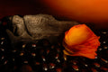 Scented Dreams Poster och Canvastavla