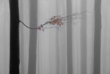 Autumn branch Poster och Canvastavla