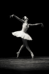 Swan Grace Poster och Canvastavla