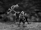 Bull Riding #5 Poster och Canvastavla