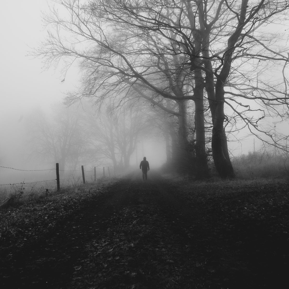 Dark autumn II Poster och Canvastavla