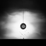 alone with birds and my time Poster och Canvastavla