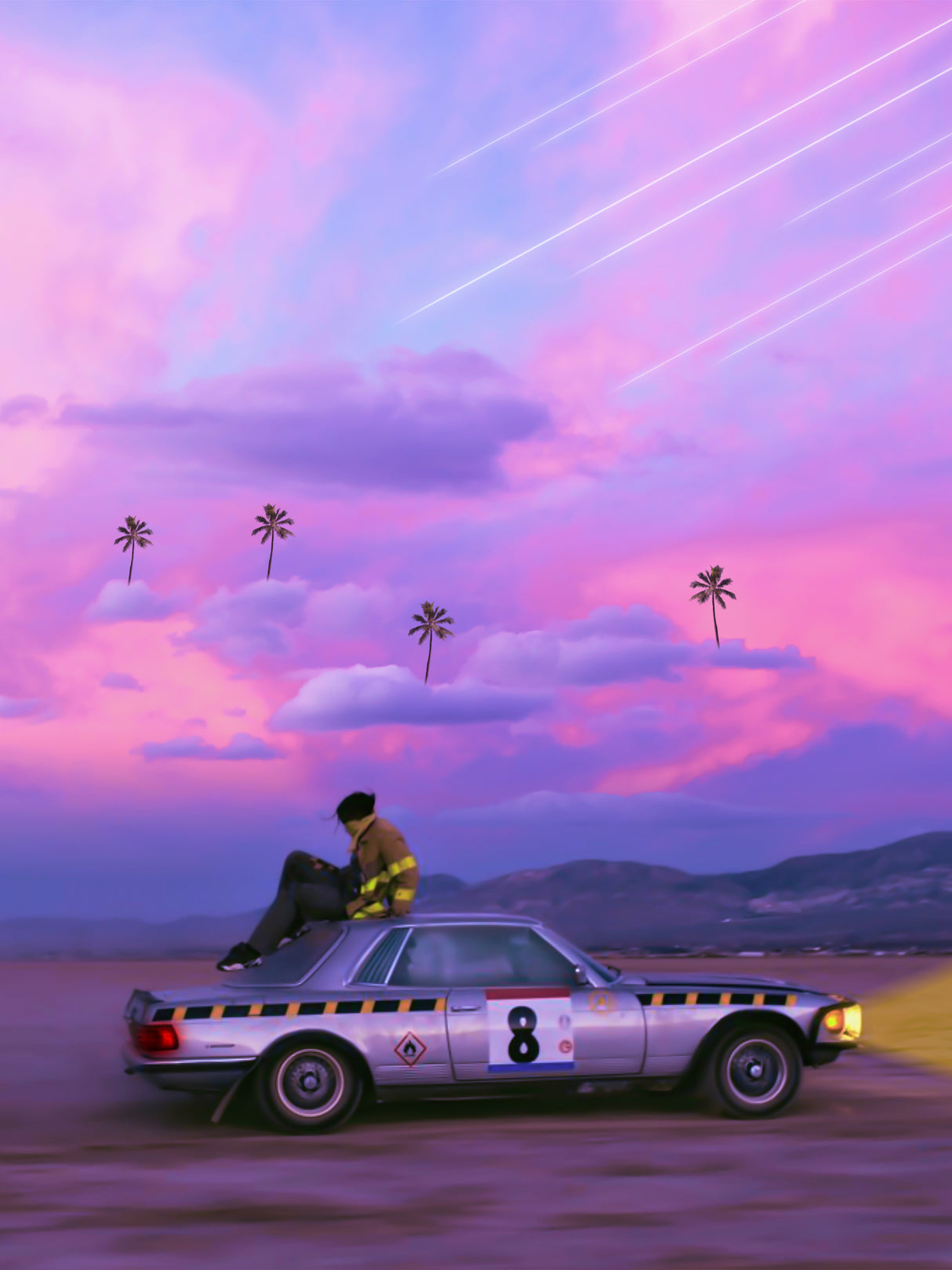 Chasing Paradise Poster och Canvastavla