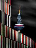Europe Tower Poster och Canvastavla