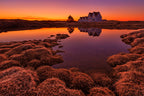 Purple Sunset Poster och Canvastavla