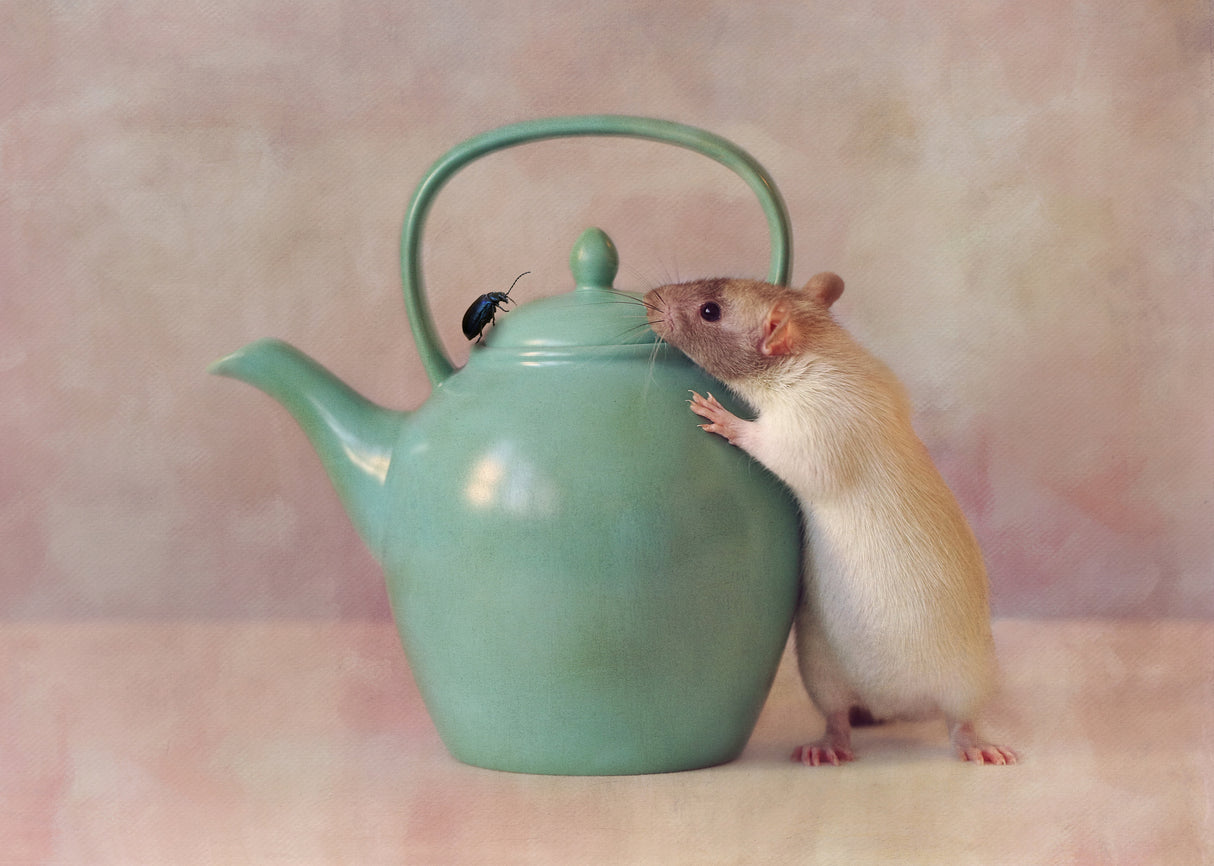 The Teapot Poster och Canvastavla