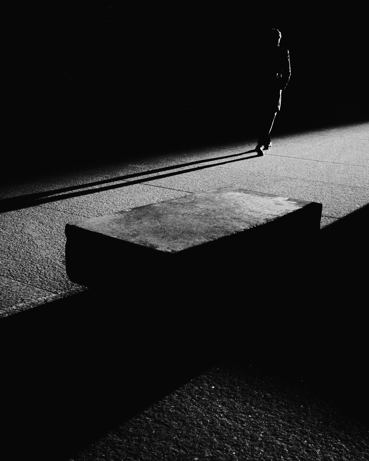 Walking lonely Poster och Canvastavla