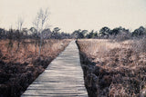 Nature reserve Poster och Canvastavla