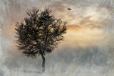 Frozen Sunset Poster och Canvastavla